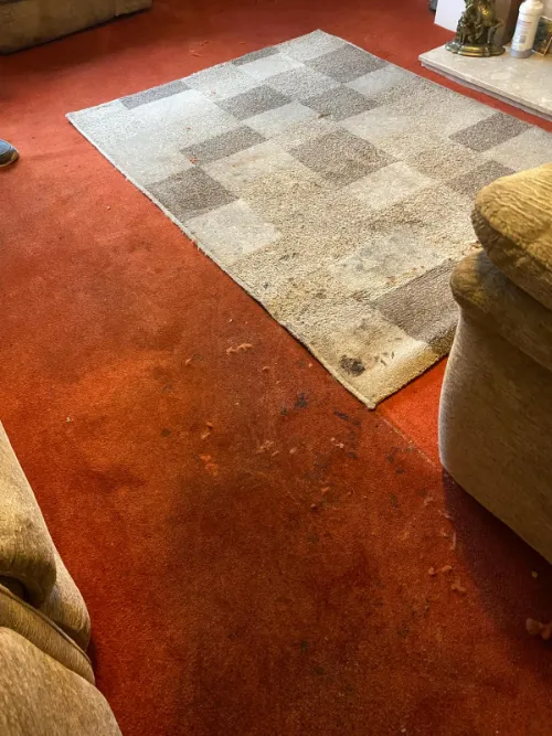 Rug Cleaner Sheffield