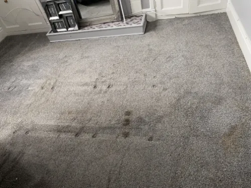 Carpet Cleaner Sheffield